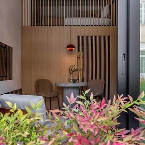 Loft suite premium